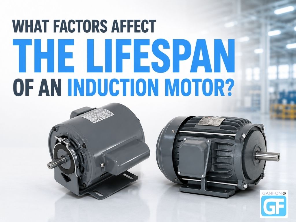 What Factors Affect the Lifespan of an Induction Motor?
